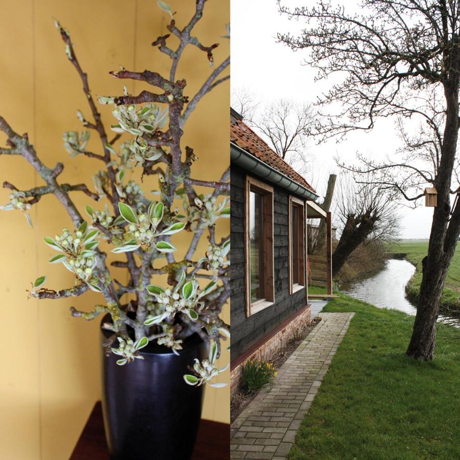Penzion Tante W Wijtgaard Exteriér fotografie